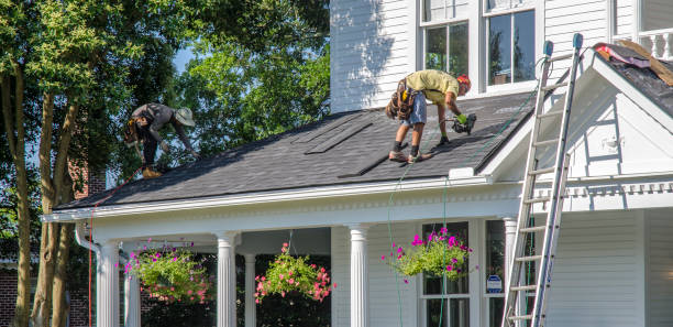 Best Roof Leak Repair  in Ashley, OH